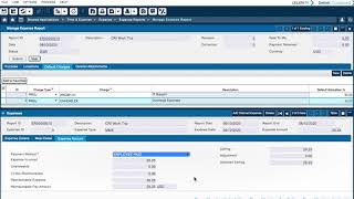 Deltek Time & Expense 10: Expense Reports