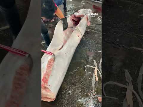 Monster fish 500 kg giant marlin cutting skill you must see #giantmarlin #monsterfish #fishcutting