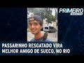 Amizade inusitada entre turista e bem-te-vi carioca viraliza na internet |Primeiro Impacto(29/12/22)