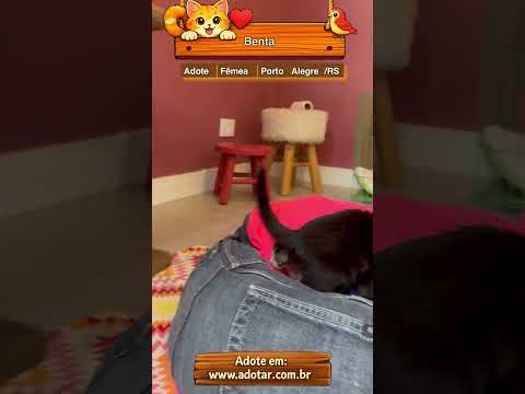 Vídeo de Benta
