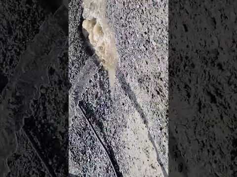 15 de março de 2026