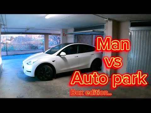 Usare Tesla Autopark nel Box Auto? Si Può!!!
