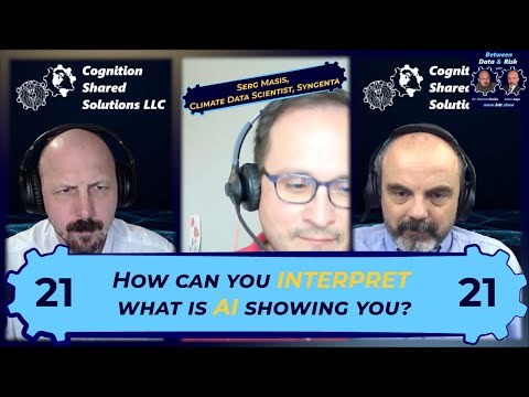 E021: Explainable and interpretable AI, with Serg Masis