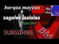 Diraamaa Afaan Oromoo Sagalee Jaalalaa Burqaa Mayyuu