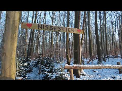 MongoTV_7975 - MIN GÅTUR - Del 12 - 2.Juledag SØNDAG 26.December 2021 - HVID JUL