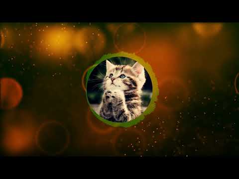 Dj Slon ft. Server - Бой с тенью Remix