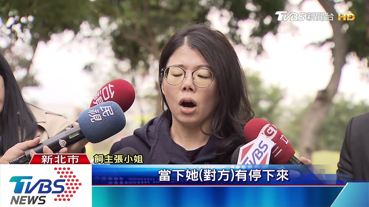 被狗咬破頭!馬爾濟斯不治 飼主電眼揪兇