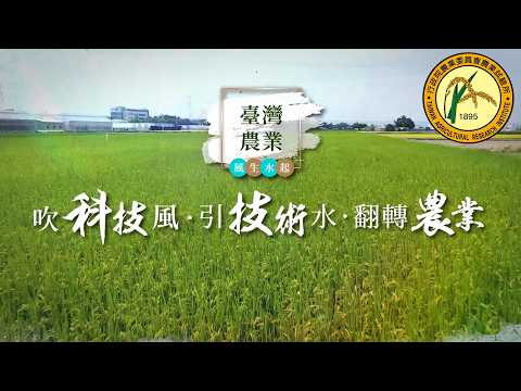 農試所 台語版 長版 2026 F
