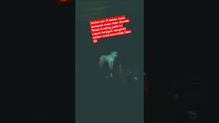 Download lagu Pendakian horor anjing putih gunung salak ditengah malam 😰 #seram #hantu #horrorstory #gunungsalak mp3 Download lagu Pendakian horor anjing putih gunung salak ditengah malam 😰 #seram #hantu #horrorstory #gunungsalak mp3