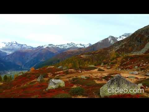 Che Sara - Guitar Acoustic