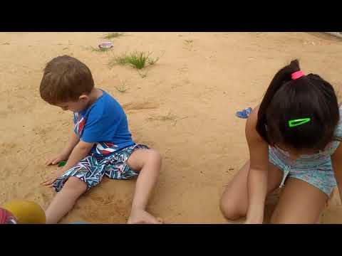 29 de janeiro de 2020