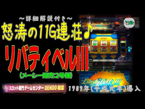 リバティベルIIIの動画