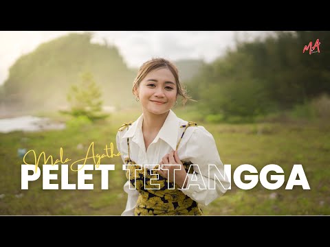 Pelet Tetangga - Mala Agatha