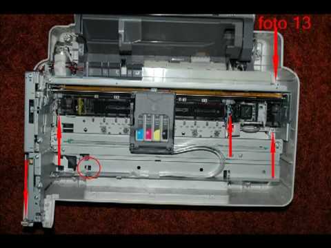 comment demonter epson dx5050