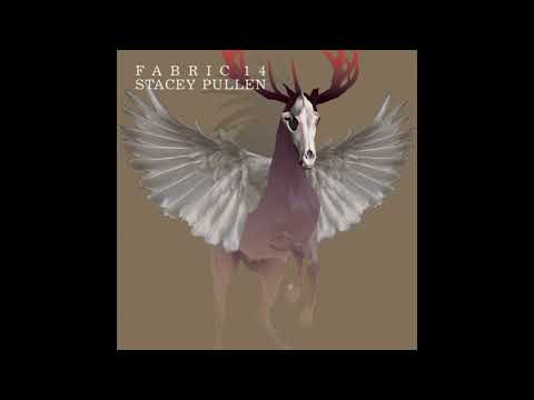 Fabric 14 - Stacey Pullen (2004) Full Mix Album