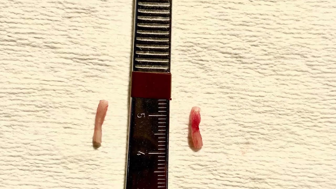 Rigoberto Rodríguez-9