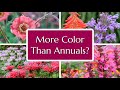 10 Perennials to Rival Annuals - Blooms All Summer