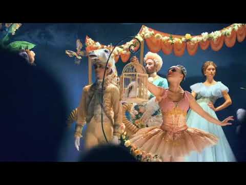 Dance Reel