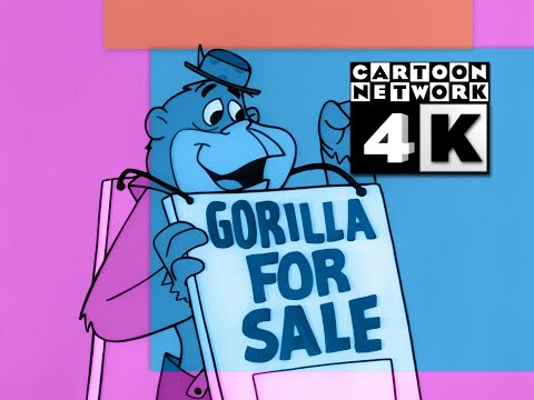 CN Groovies - Gorilla 4 Sale (4K 60fps)