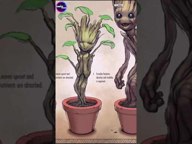 Vídeo relacionado con Guardians Of The Galaxy Póster Marvel Vol. 2 - I Am Groot (61cm x 91,5cm) + 1 Póster con Motivo de Paraiso Playero
