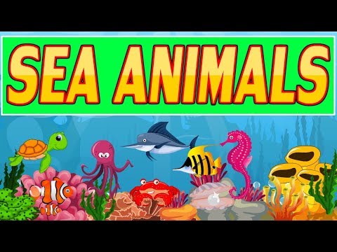 Awesome Sea Animals for kids | Water Animals name  list Preschool  | kid2teentv Video