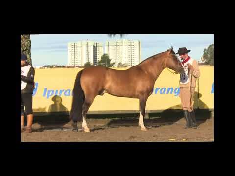 Hilario da Dom Manoel