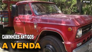 5 Caminhões Clássicos À Venda QUE VOCÊ NÃO ACREDITA! 🚨 