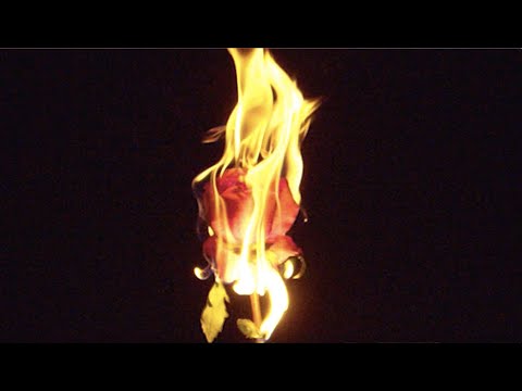 Sondre Lerche - Why Would I Let You Go (Official Video)