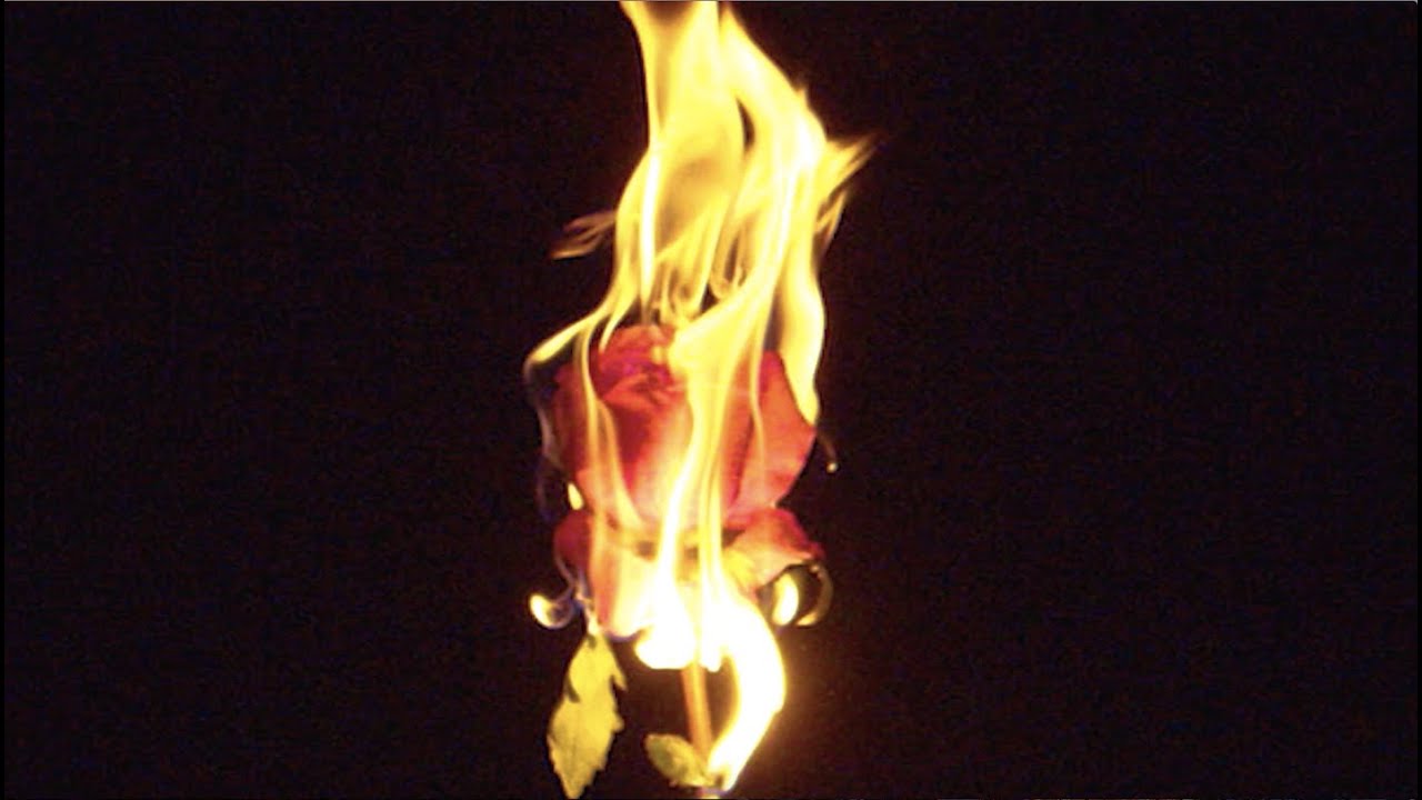 Sondre Lerche - Why Would I Let You Go