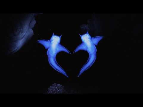 Danny L Harle - Two Hearts (ft. Dua Lipa)