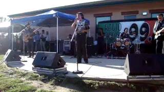 LOS FELINOS EN GREENFIELD CA(EL VENADITO)