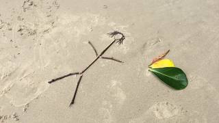 Stick Figure - Fire on the Horizon (Trinidad & Tobago 2017)