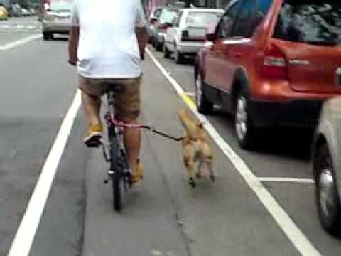 maru是"落客馬"之誰溜誰?(原發表者:lalala755MARU)(影片)