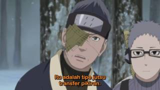 Naruto Shippuden Episode 207 Bahasa Indonesia