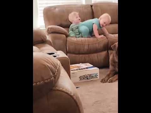 baby booty shake #shorts