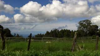 preview picture of video 'Makawao Upcountry Maui, Hawaii'