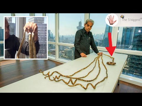 Longest Nails in The World Left My Hands PERMANENTLY Handicapped! Cut After 66 Years!~ Body Bizarre!