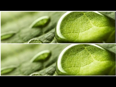 WHAT IS THE DIFFERENCE BETWEEN TWO PHOTOS .NATURE . SHREYASI'S LIFESTYLE .