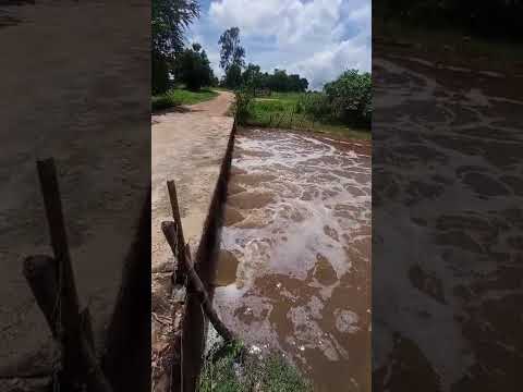 Riachos dos cavalos aqui em Barro Ceará cariri 17/02/2026