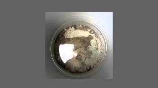 Container | Funnel [Diagonal 2016]