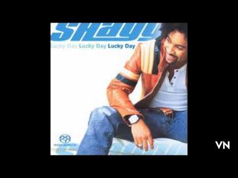 Shaggy - Get My Party On.