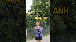 Tiếng Anh không khó check #khanhvy #hoctienganh #english 