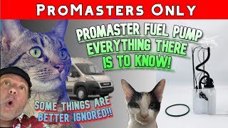 Ram Promaster: Fuel Pump Learnings - Everything There is To Know! Hard Delayed Start, Extended Crank