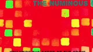 The Numinous Present Their Indie Guitar-Pop Song, You Were The Scene Of The Crime