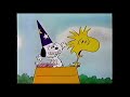 It S Your 20th Television Anniversary Charlie Brown
