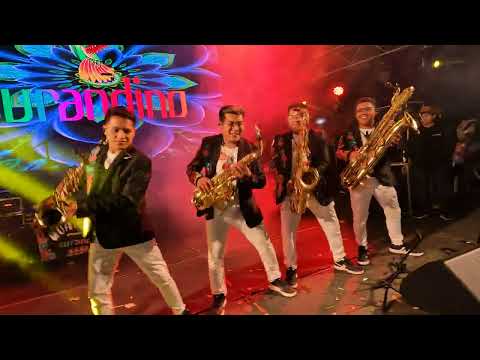 Rico Rico - 5 AM - Surandino (4k en vivo) #15años