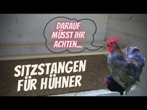 Hühner Tipp 4 - Sitzstangen selber machen - einfach und kostengünstig - Einrichtung Hühnerstall