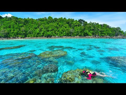 シミラン諸島へ行くタイミング (When to go to the Similan Islands)