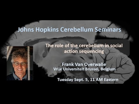 Frank Van Overwalle: cerebellum in social action sequencing