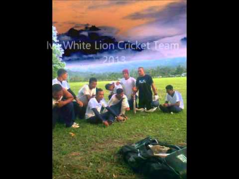 IVA White LIONS, Iva SAVA'II